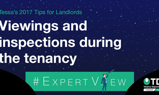 #ExpertView: Tessa's 2017 Tips for Landlords - 8. Viewings and inspections during the tenancy