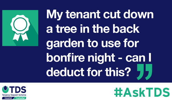 #AskTDS: My tenant cut down a tree in the back garden to use for bonfire night - can I deduct for this?