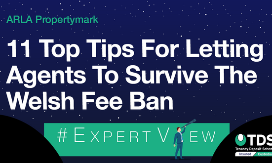 #ExpertView: 11 top tips for letting agents to survive the Welsh fee ban