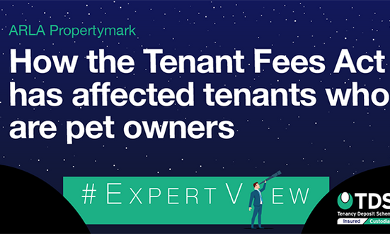 #ExpertView: How the Tenant Fees Act 2019 has affected tenants who are pet owners