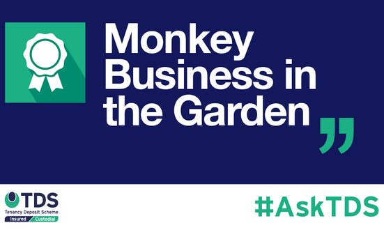 #AskTDS Monkey Business in the Garden