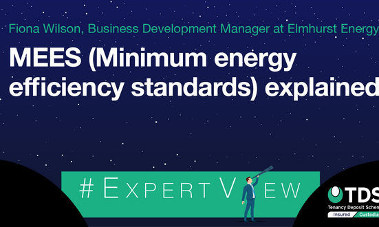 #ExpertView: MEES (Minimum Energy Efficiency Standards) Explained