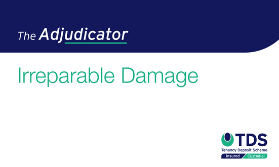 The Adjudicator: Irreparable Damage