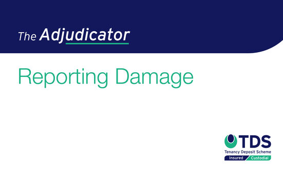 The Adjudicator: Reporting Damage