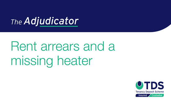 The Adjudicator: Rent Arrears and a Missing Heater